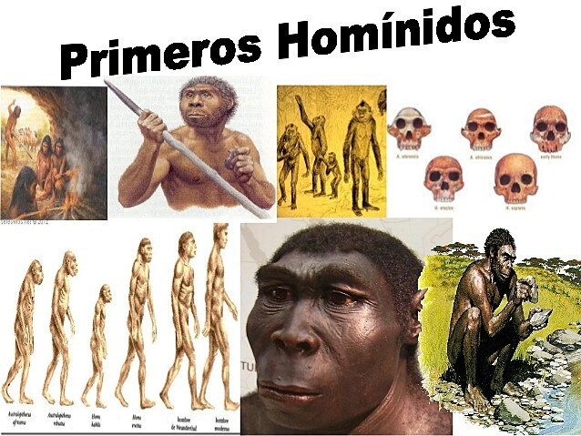 PRIMEROS HOMINIDOS
