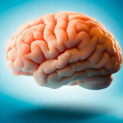 Timeline: Actividad 1: Foro ¿De dónde viene y para dónde va el cerebro?