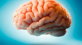 Timeline: Actividad 1: Foro ¿De dónde viene y para dónde va el cerebro?