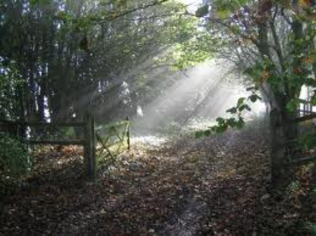 Today's Date:) :) :)