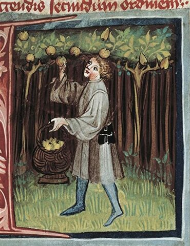 Opus Ruralium Commodorum