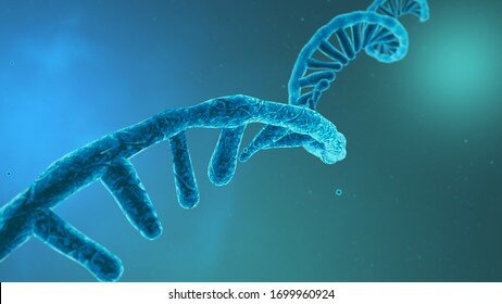 RNA