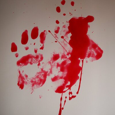 Timeline: EVOLUCION DE LA VICTIMOLOGIA