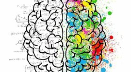 Timeline: Historia de la Neurociencia