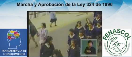 Ley 324