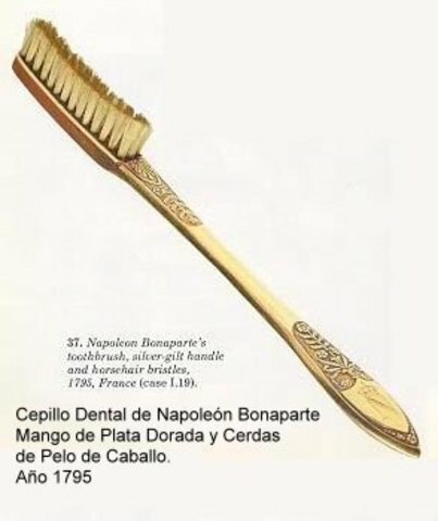 Creación de cepillo de cerdas de caballo