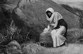 LAS NARRACIONES SOBRE AGAR