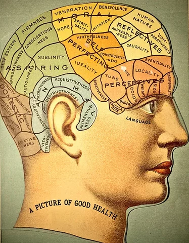 Francis Joseph Gall - Johan Casper. Localizacionismo Mapa Funciones Mentales