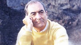 Timeline: Luis Matilla
