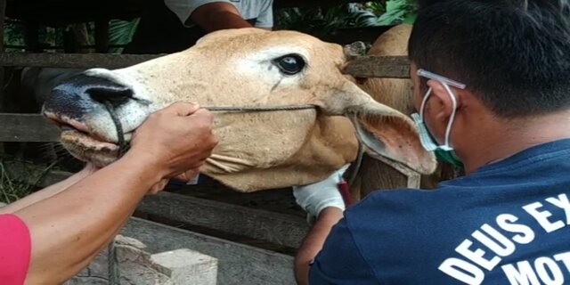 Investigasi Outbreak oleh Tim Provinsi