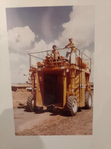 Profissional: Shunji Primeira maquina colheitadeira de café