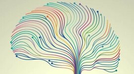 Timeline: Las neurociencias de la conducta, un viaje  que no se detiene.