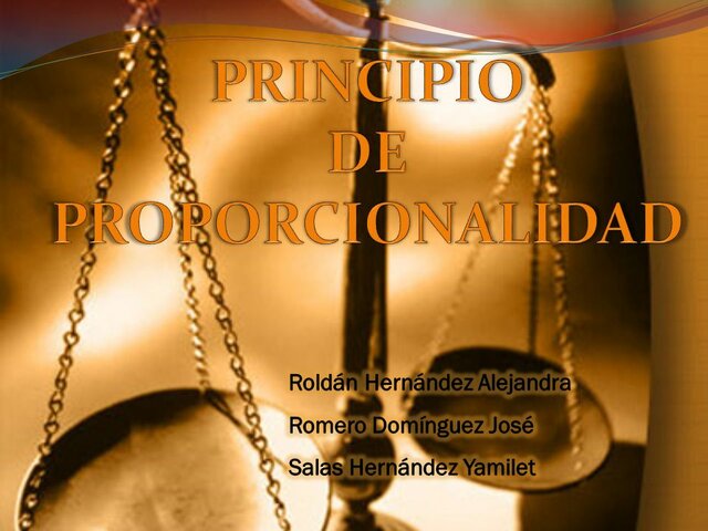 PRINCIPIO DE PROPORCCIONALIDAD