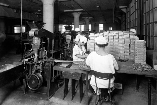 Explotacion del chicle