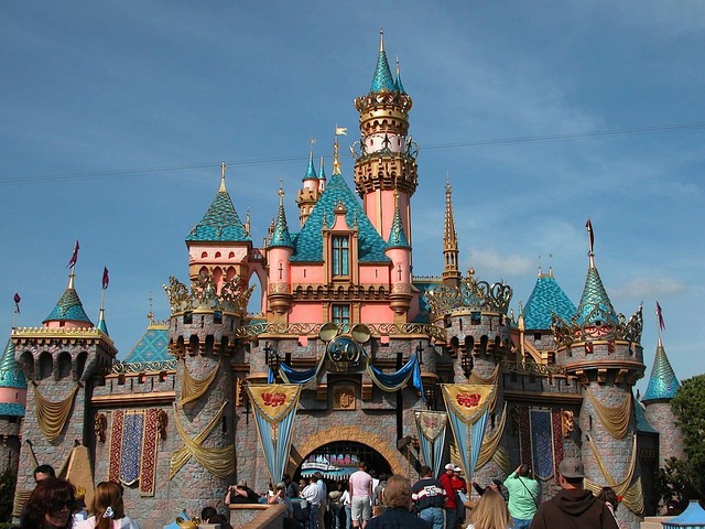went to disney land in california