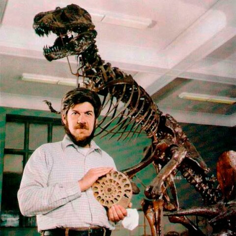 Stephen Jay Gould (1972)
