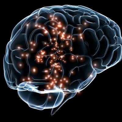 Timeline: Evolución histórica de la neurociencia