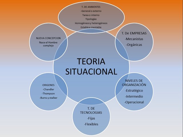 TEORÍA SITUACIONAL