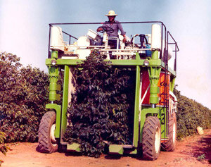 colheitadeira de café