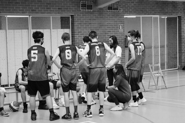 OFIZIALKI TXAPELKETAREN HASIERA