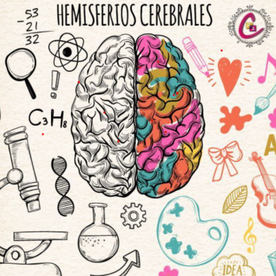 Timeline: Neurociencias de la conducta