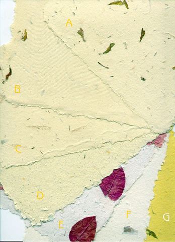 Divulgació i aplicació del paper