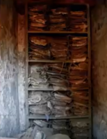 Edad contemporánea II (1790 d.C)