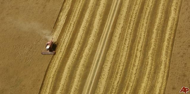 Over a billion dollars to farmers