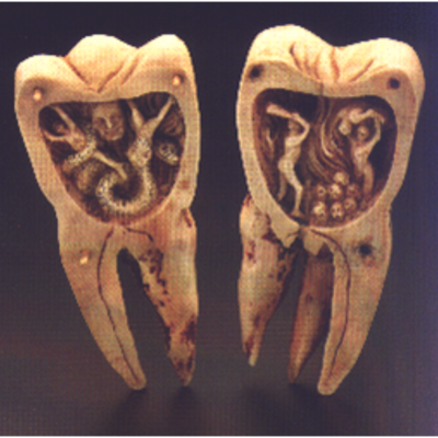 Timeline: historia de la odontologia