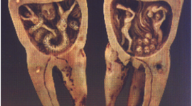 Timeline: historia de la odontologia