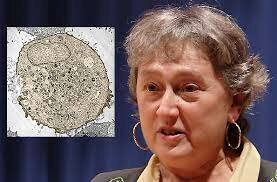 Teoría simbiogenetica e hipotesis de Gaia / Lynn Margulis