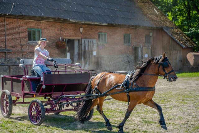 Hobune oli siiski põhiline veojõud