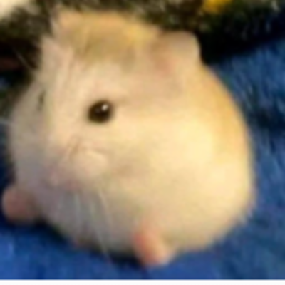 Timeline: El Naixement i l'Expansió de Castella i Lleó, Navarra i Aragó