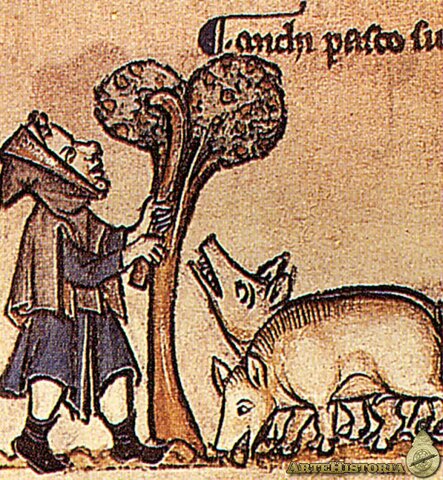 Anselm Turmeda es trasllada a Bolonya