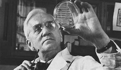 EL DESCUBRIMIENTO DE LA PENICILINA