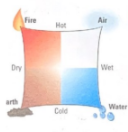 Empedocles Theorizes That There Are 4 Elements.