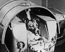 Unione Sovietica, Sputnik 2