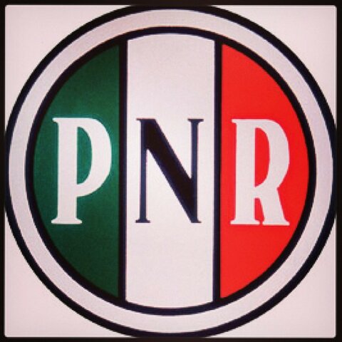 Creación del Partido Revolucionario Nacional (PNR)