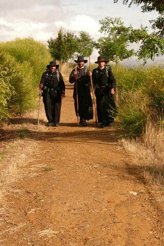 Peregrinos y difusión de ideología