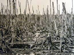 Segunda guerra mundial