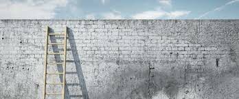 Barth y la barrera étnica