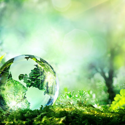 Timeline: Antecedentes de la Ecología