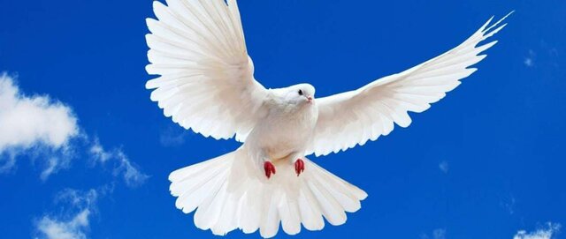 LA INICIATIVA DE LA PAZ