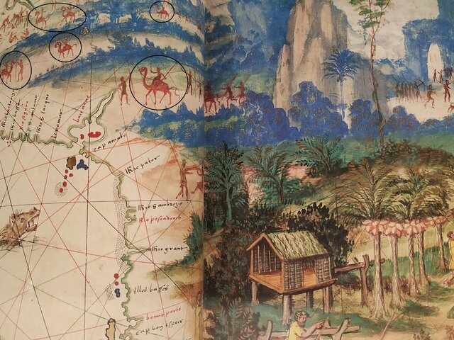 Descubrimiento de Australia