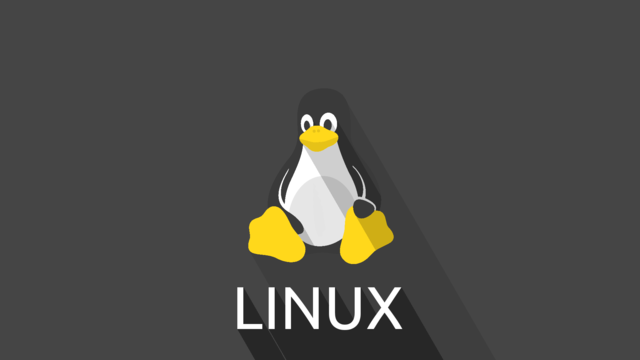 Cuando Linus Torvalds comenzó a trabajar en Linux