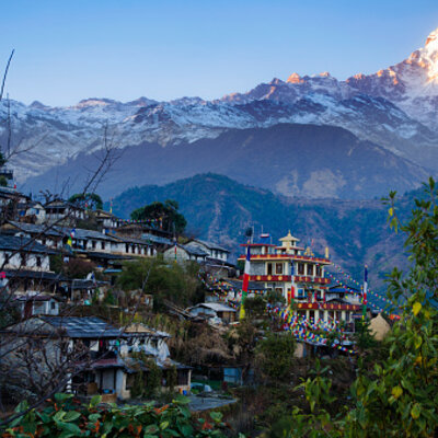 Timeline: The Inheritance of Loss