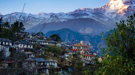 Timeline: The Inheritance of Loss