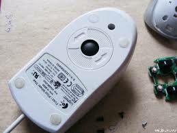 The first common ball mouse