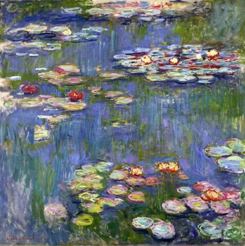 Pond-Water Lilies