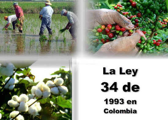 Ley 34 de 1993